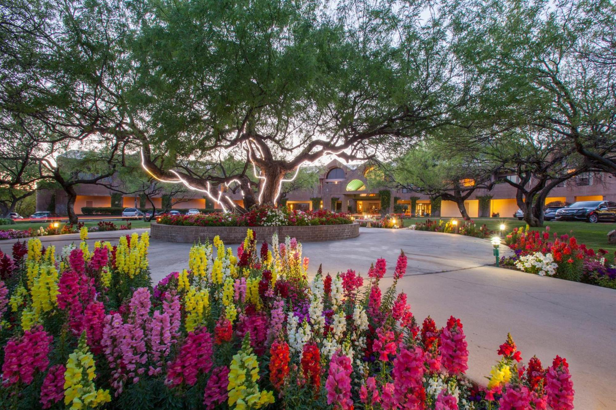 The Lodge At Ventana Canyon Mount Lemmont Exterior foto